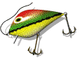 Sam Rayburn Guide Service